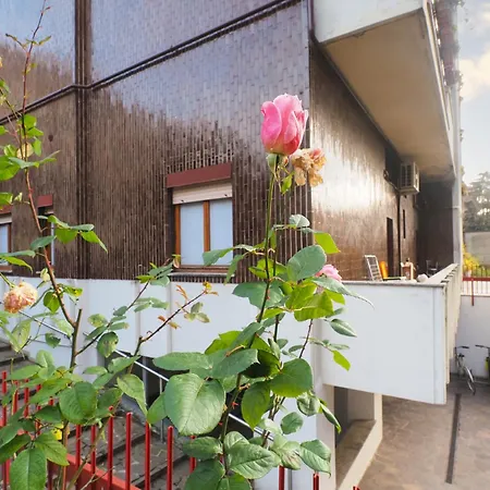 Primopiano - Ronchi *